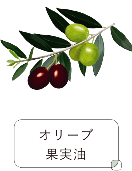オリーブ果実油