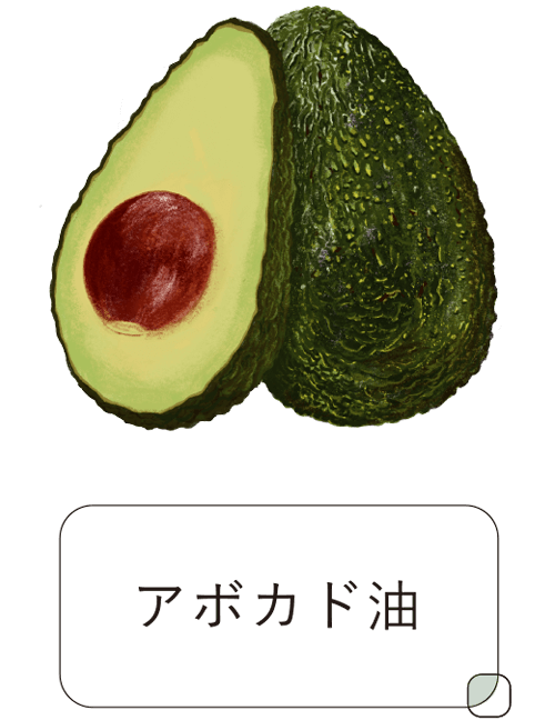 アボカド油